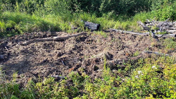 Rough, bare ground that is dug up, surrounded by green grass and small shrubs and branches and