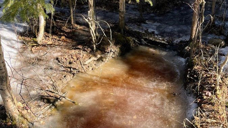 impression in the ground that has filled with dirty brown water that has frozen