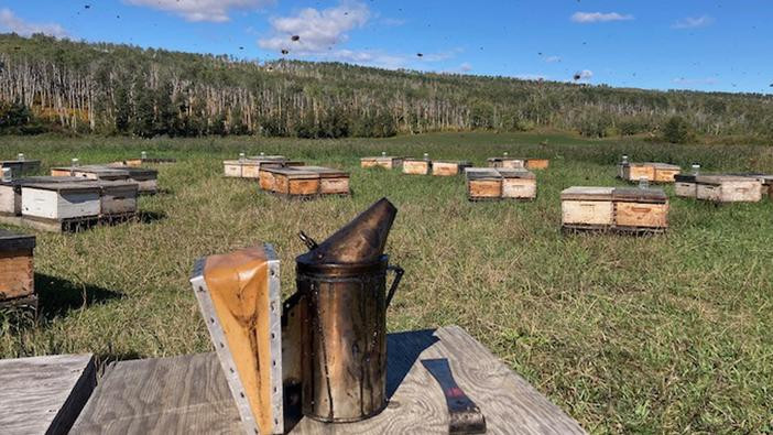 Photo of a Northern Alberta apiary