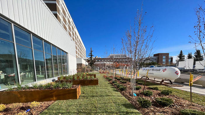 Exterior landscaping at the Misericordia Community Hospital emergency department