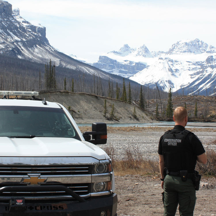 Conservation officer on patrol on public land near Nordegg, Alberta.