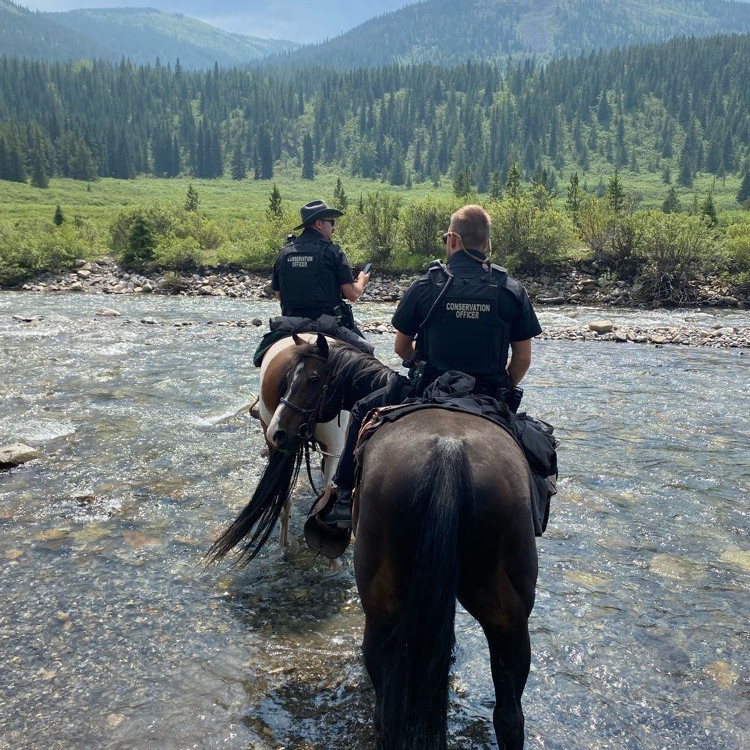 Conservation officers conducting a horse patrol.