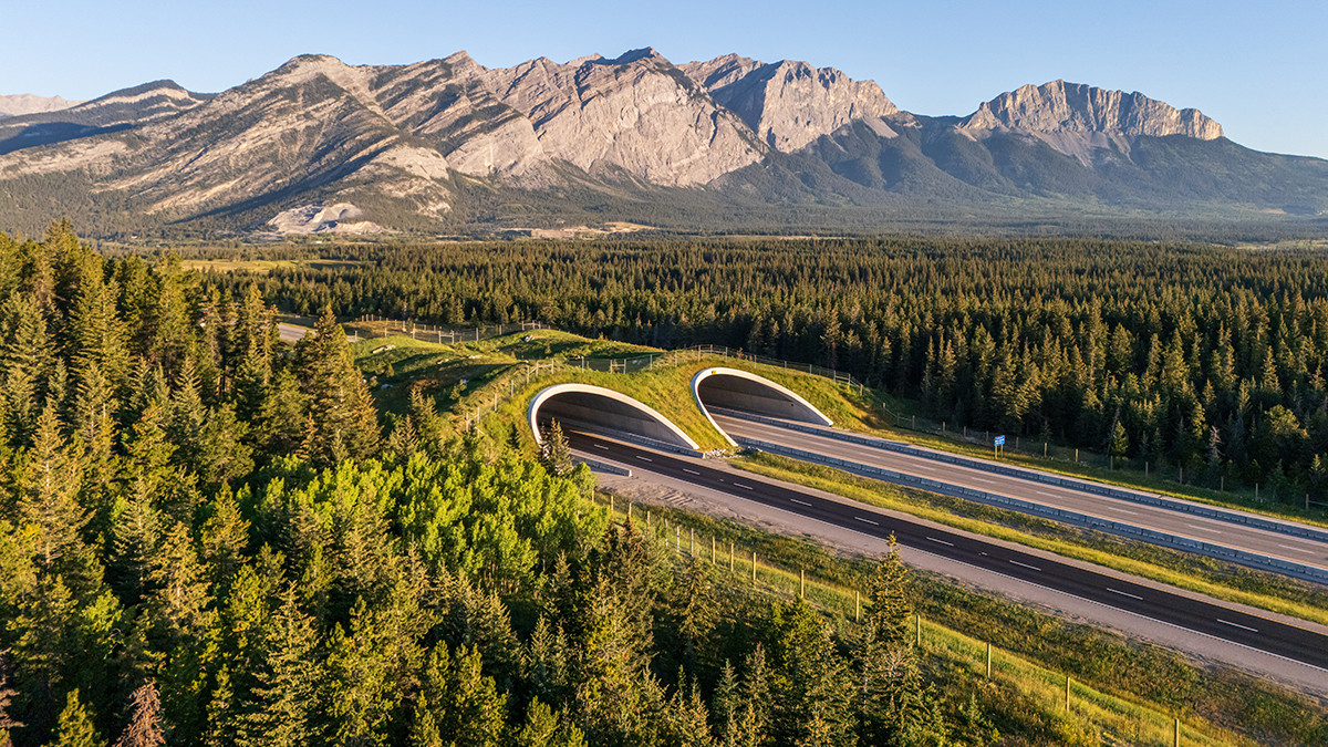 Photo of the Peter Lougheed wildlife overpass