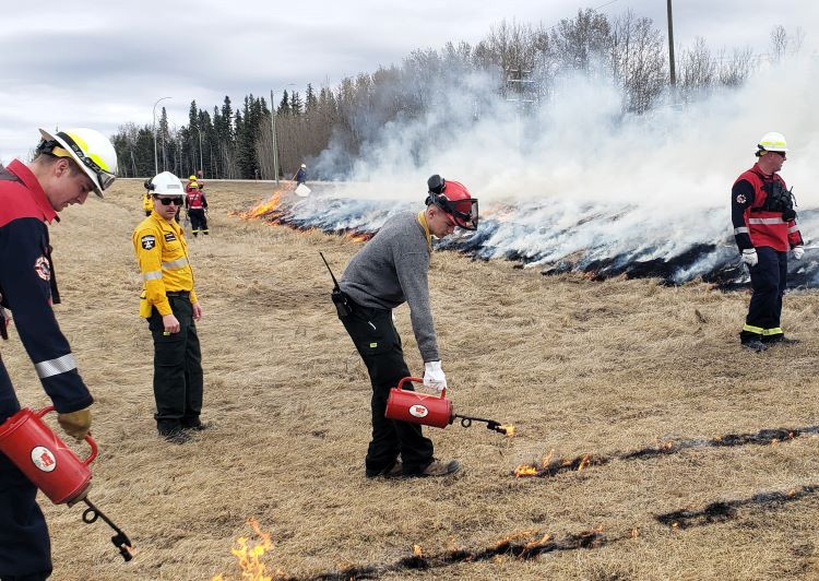 Firefighters are lighting grass with a tiger torch