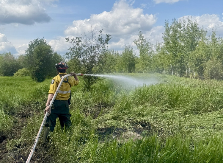 A wildland firefighter wearing yellow protective gear sprays water from a hose onto smoldering grass in a green field surrounded by trees, under a bright blue sky with scattered clouds.