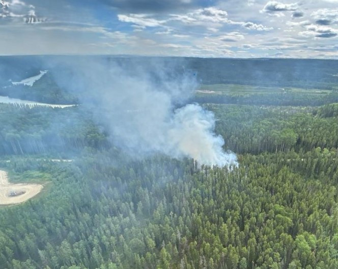 A wildfire burning in a forested area produces smoke. 