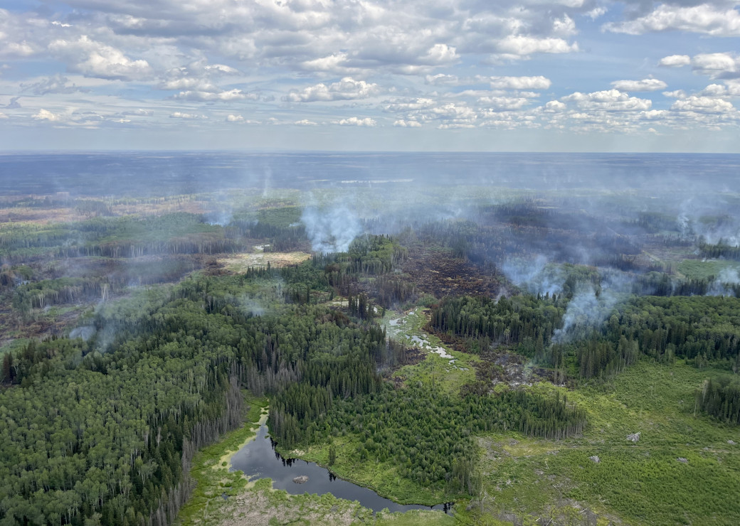 Smoke from a wildfire rises from a partially burnt forested area. 
