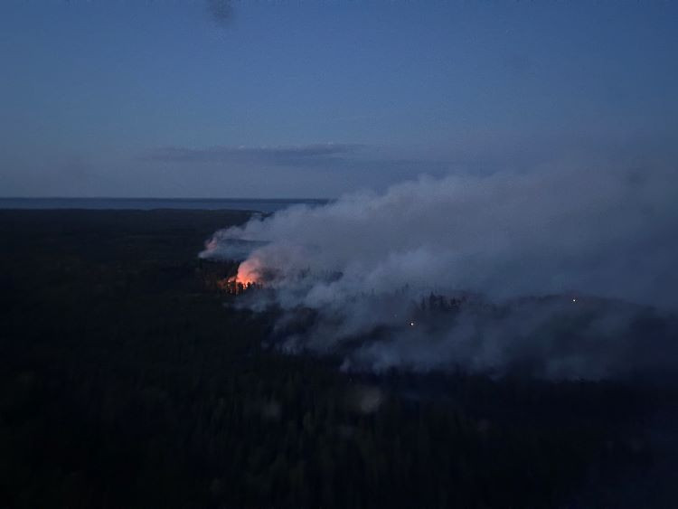 Photo of LWF132 taken in the late evening of July 9, 2025