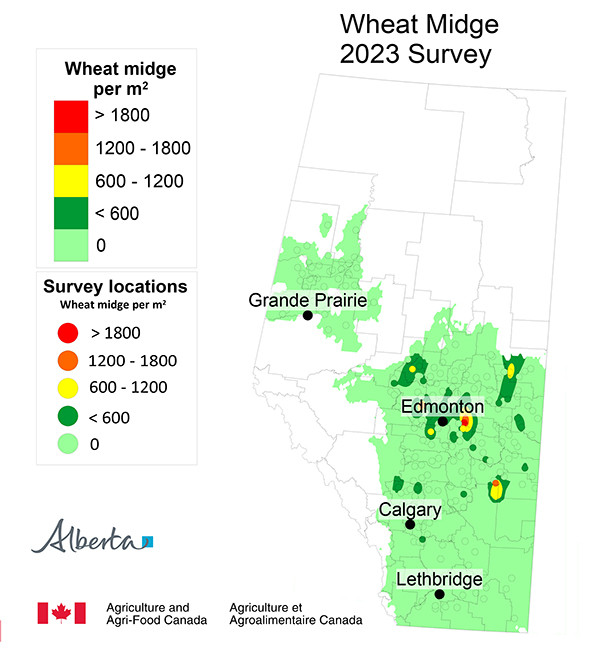 Image of a map of Alberta showing the Wheat Midge Forecast