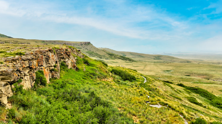 Lush, green plateau in Southern Alberta with terrain stretching off into the distance and bright blue sky with a skimmer of clouds