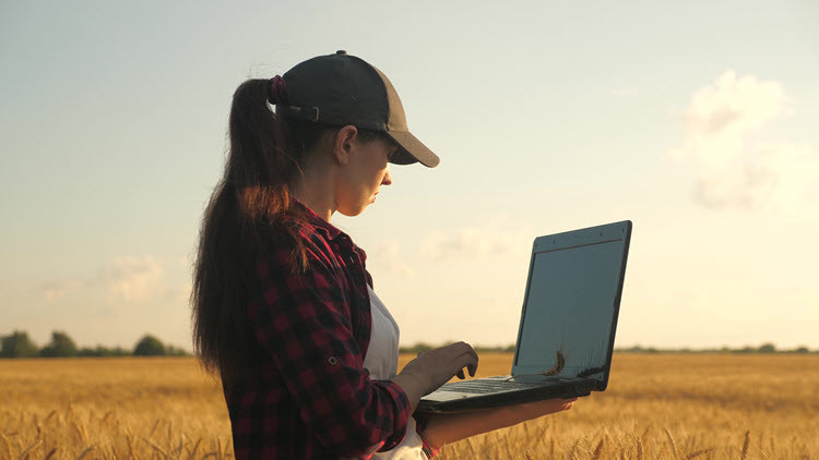 Woman in wheat field with tablet