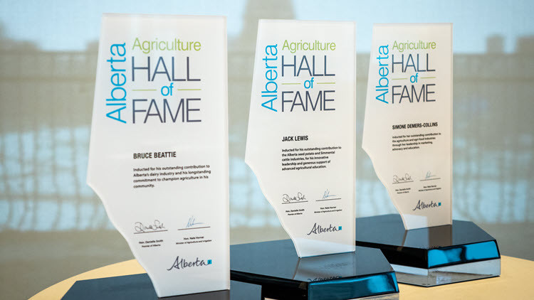 Photo of Hall of Fame plaques