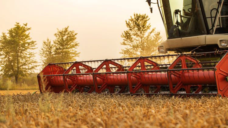 Red combine harvesting a field
