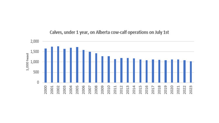Blue bar graph: Calves, under 1 year, on Alberta row-calf operations on July 1st