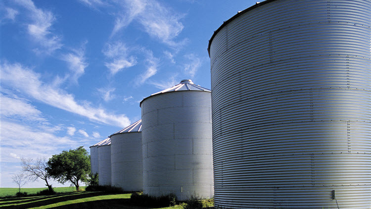 Row of large silver crop bins in a green field next to a tree under a blue sky