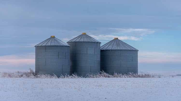 Three grey grain bins in a white, snowy field under a cloudy sky