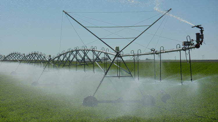 Irrigation machine spraying water in a green field