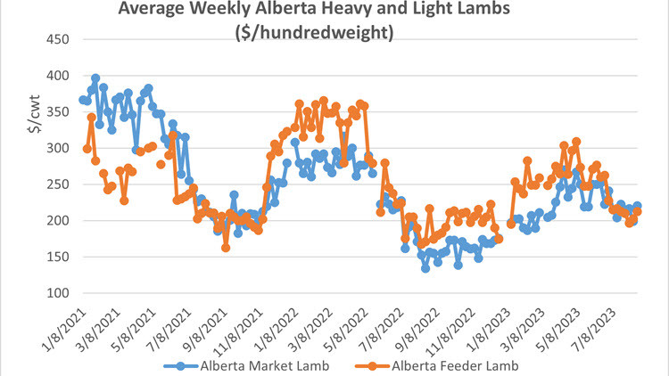 Average weekly Alberta heavy and light lambs ($/hundredweight) chart