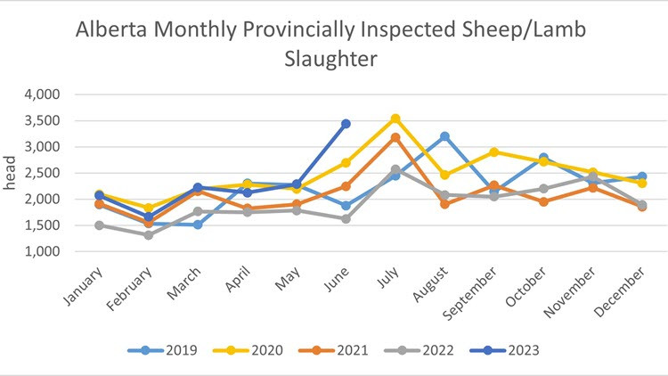 Alberta monthly provincially inspected sheep/lamb slaughter chart