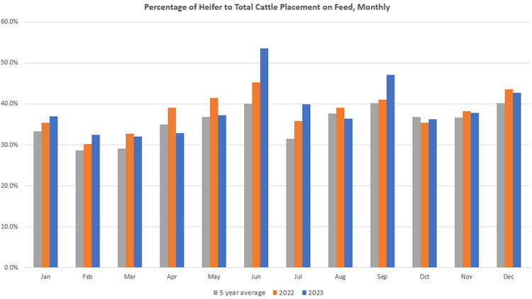 Grey, orange and blue bar graph: Percentage of heifer to total cattle placement on feed, monthly