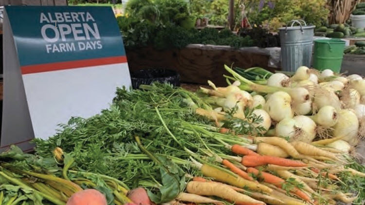 Leafy orange carrots, onions and a variety of other vegetables laid out in front of a blue, orange and white sign with white text: Alberta Open Farm Days