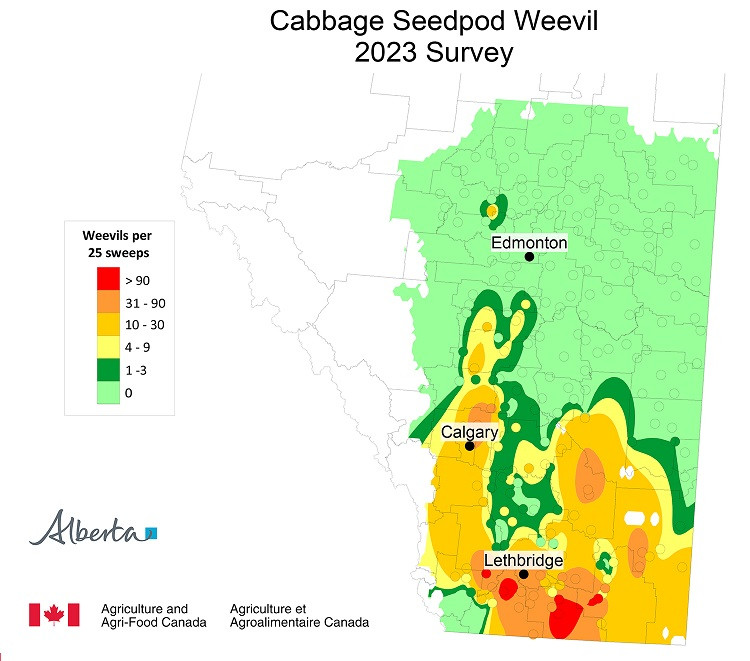 2023 Cabbage Seedpod Weevil Survey Map