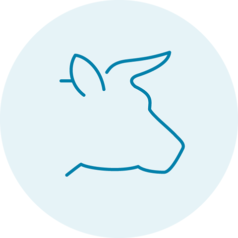 Light blue circle with a darker blue outline icon of a bull head