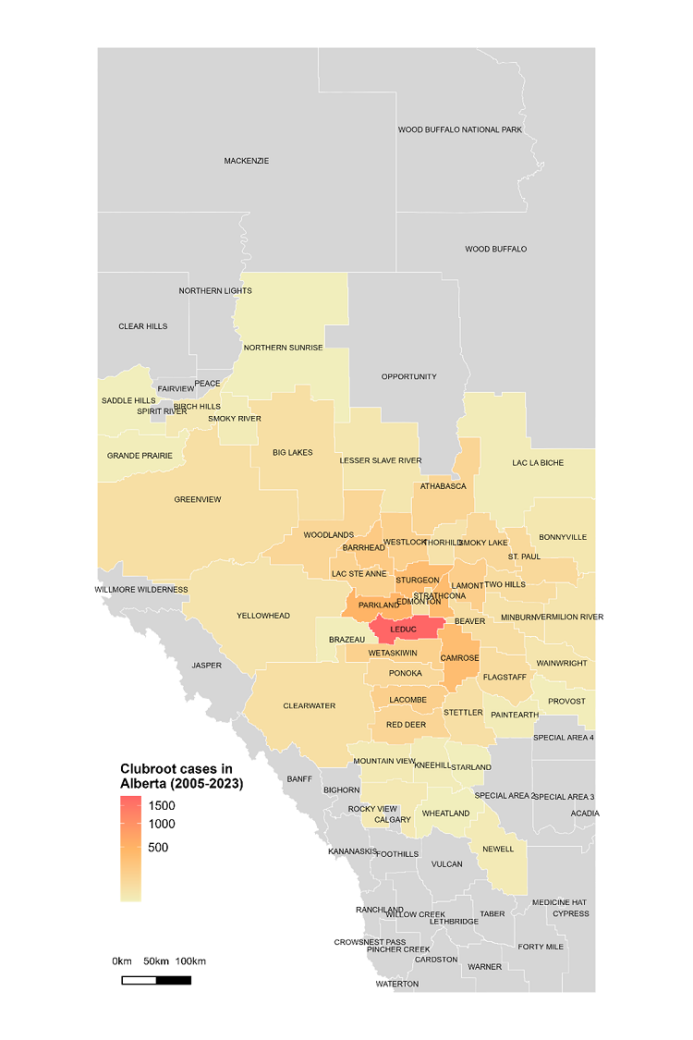Map of Alberta showing clubroot infestation in 2023.