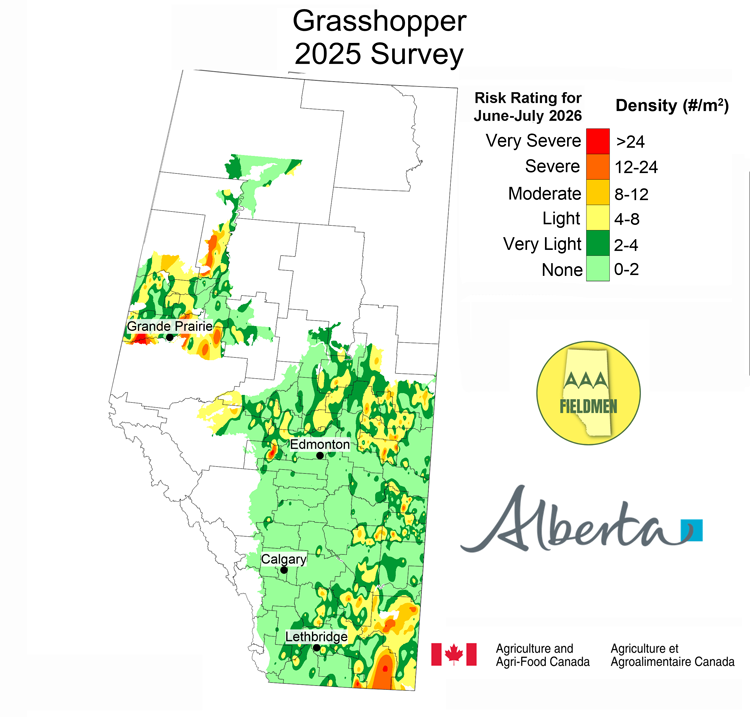 Alberta map: density of grasshoppers per square metre found in 2025 survey; uses 6 color gradient: light green (0-2 grasshoppers per square metre) to red (more than 24 grasshoppers per square metre). Peace region: red areas in North, SW and SE. Other areas: light green to yellow. North of Edmonton: dark green to yellow, w/small areas of orange. Between Edmonton-Calgary: light green w/some yellow & dark green in eastern counties. Southern Alberta: light to dark green w/yellow & orange area in SE corner
