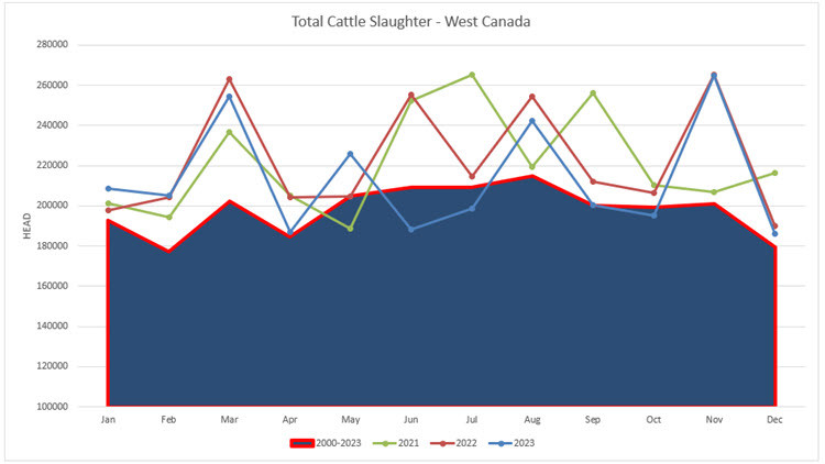 Image of a graph showing Total Cattle Slaughter – West Canada