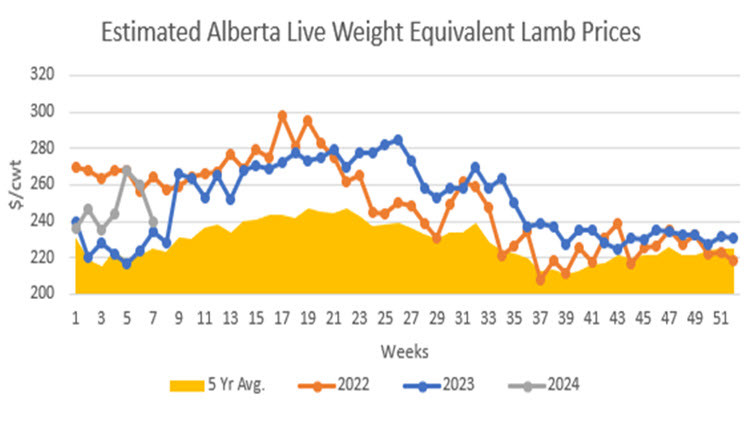 Inage of a graph showing the estimated Alberta live weight equivalent lamb prices