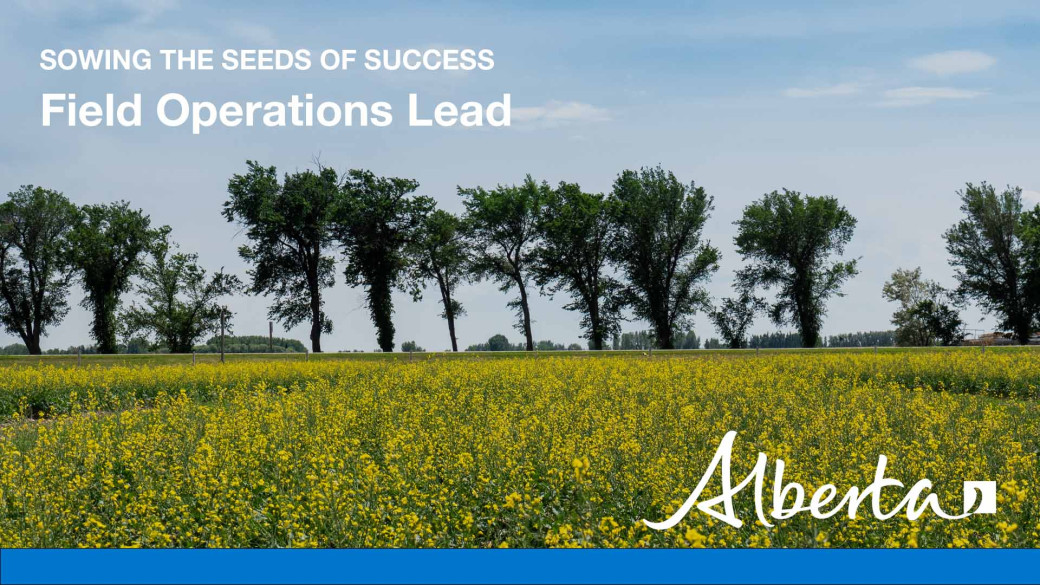 Video thumbnail: Canola field with trees in background with text overlay: "Sowing the seeds of success: Field Operations Lead"; Alberta government logo in the bottom right corner