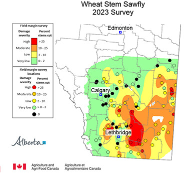 Image of a map showing the wheat stem sawfly for 2023