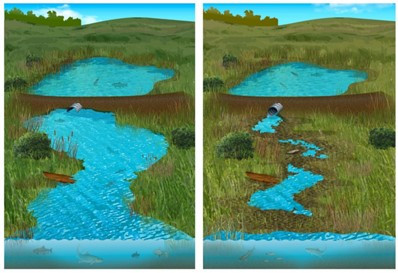 Aquaculture connectivity 1