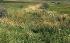 Aquaculture connectivity 3