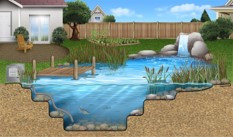 aquaculture pool
