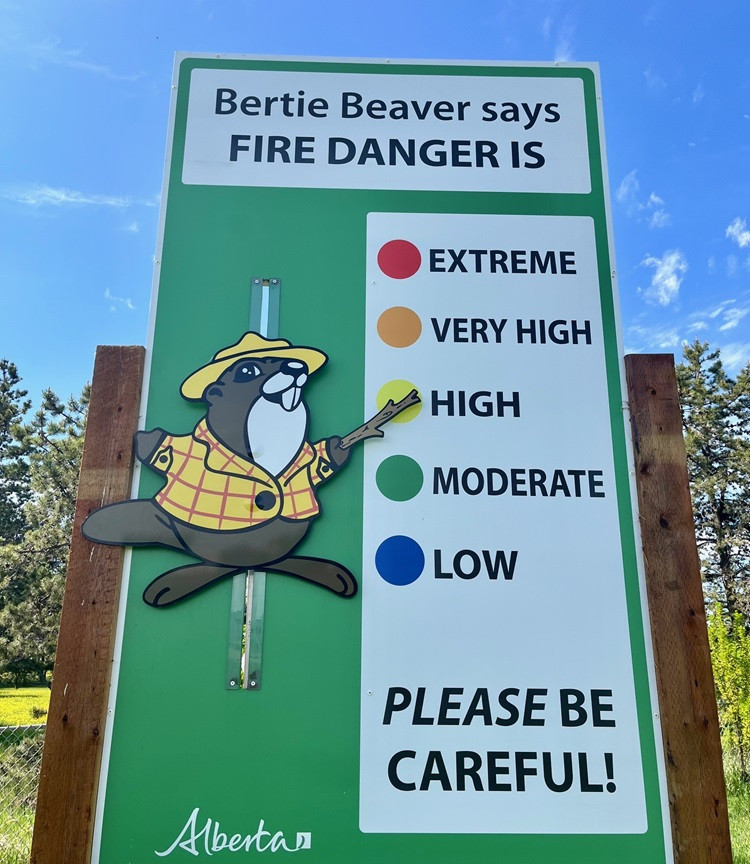A green outdoor sign featuring a cartoon beaver named Bertie Beaver. The sign reads 'Bertie Beaver says FIRE DANGER IS' followed by a vertical fire danger rating scale with five levels. A yellow pointer held by Bertie indicates the current level is 'HIGH.' 