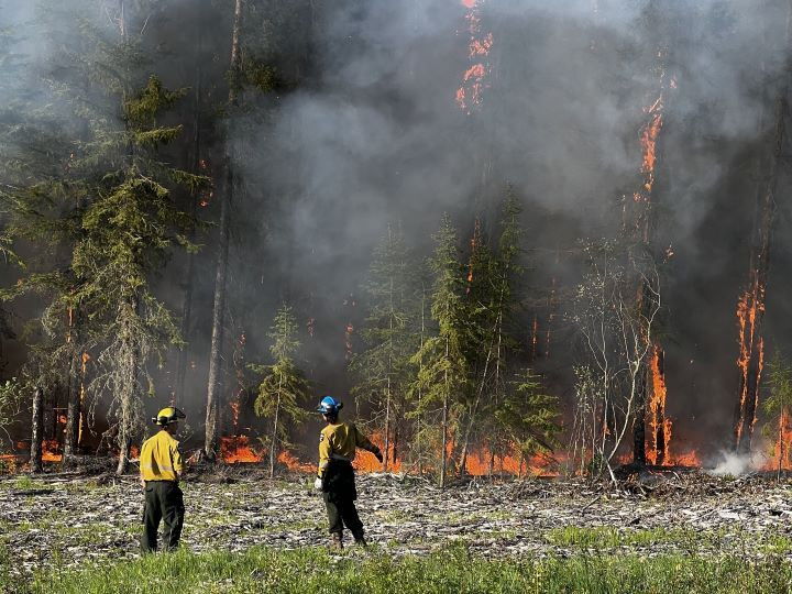 A wildfire burns in the background and two wildland firefighters stand in the foreground at a safe distance at the fire-line. 