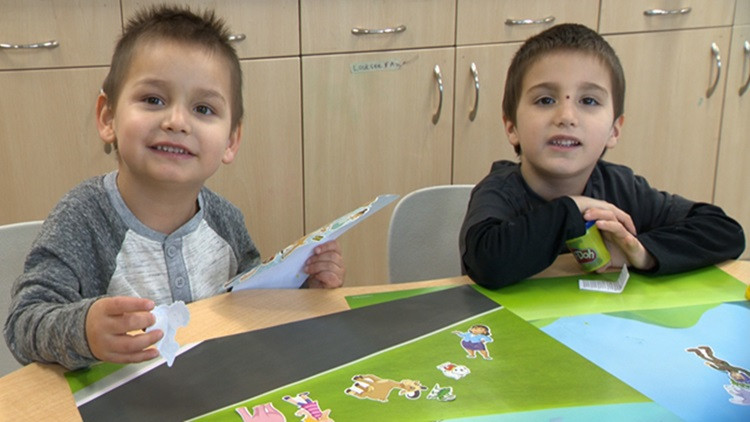 Adoption profile – Ryder and Alexander