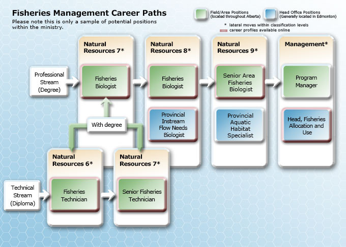 Fisheries Management Career Path