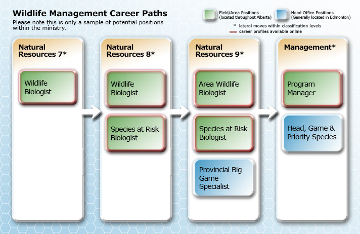 Wildlife Management Career Path