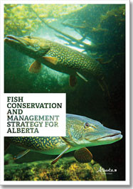 Fish Conservation and Management Strategy for Alberta; document cover depicting lake sturgeon