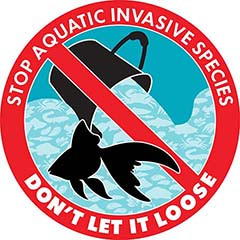 Invasive goldfish logo – Stop aquatic invasive species: Don’t let it loose