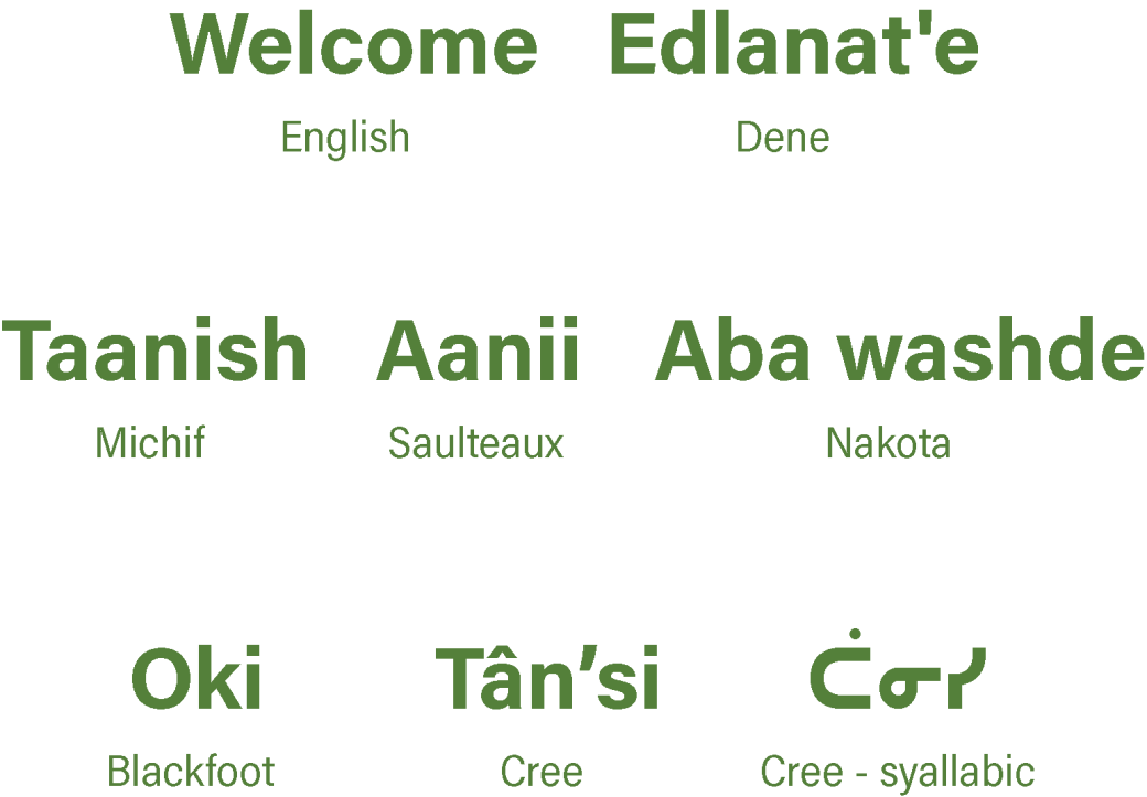 The word welcome written in six different indigenous languages.