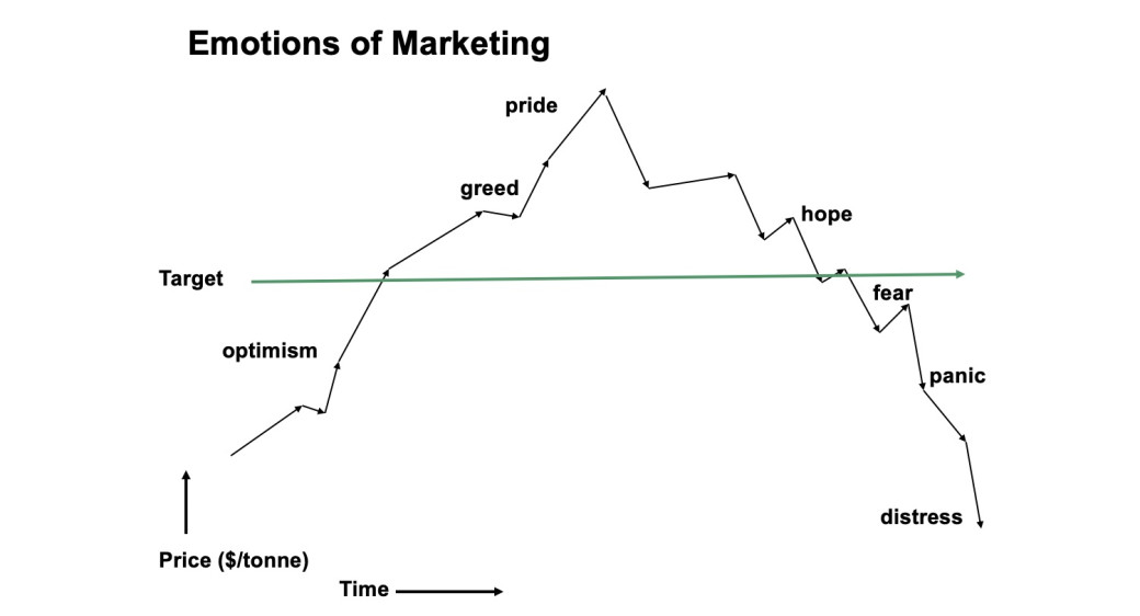 Chart showing the emotions of marketing by price over time. 