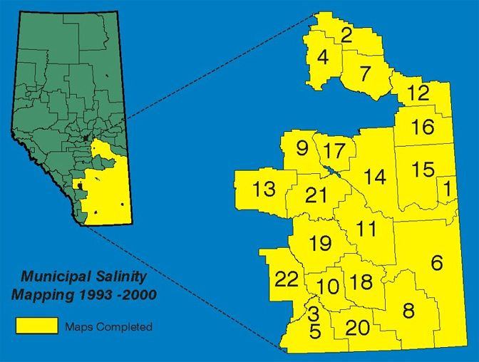 Municipal Salinity Mapping