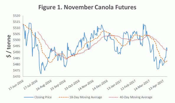 November Canola Futures chart for June  to April 2017