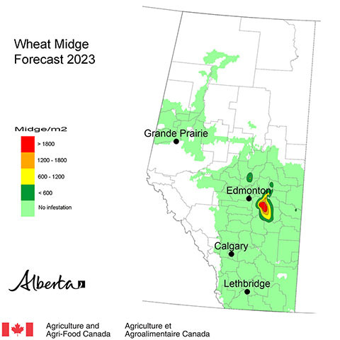 Wheat Midge Forecast 2021 map