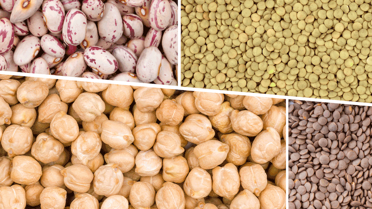 Pulses and Cereal Grains