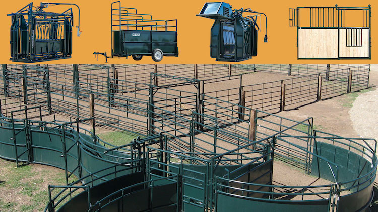 Cattle, Bison and Equine Equipment